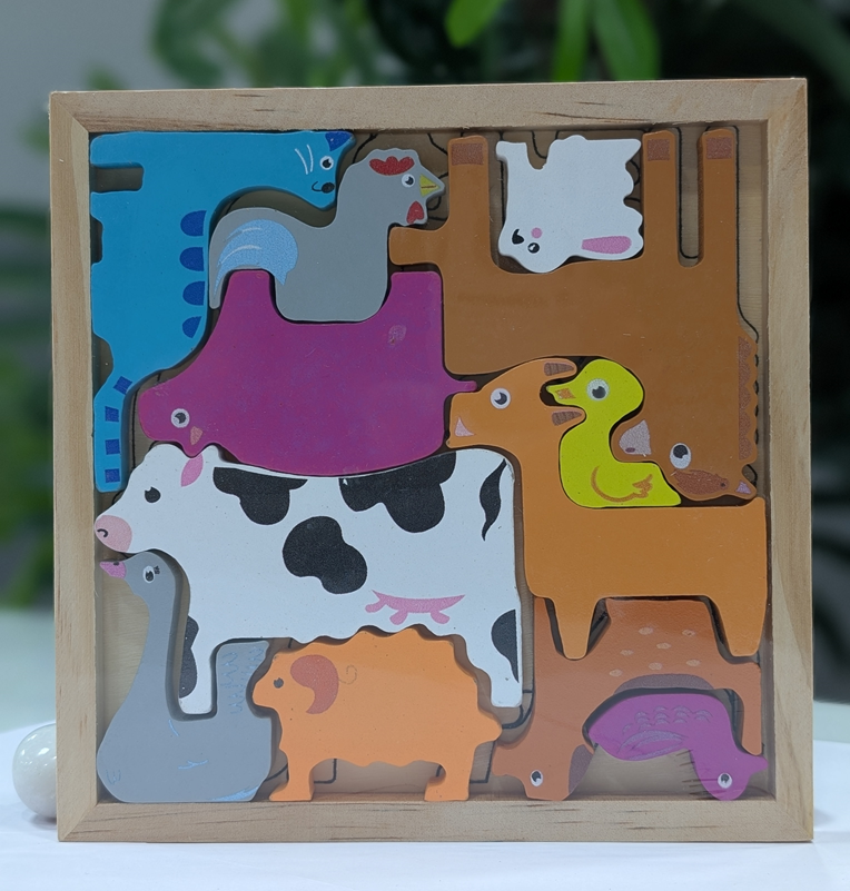 Tray 3D Shape Puzzle - Multi Shapes & Colors