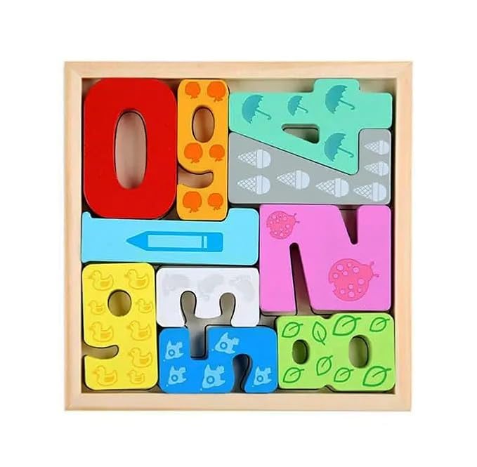 Tray 3D Shape Puzzle - Multi Shapes & Colors