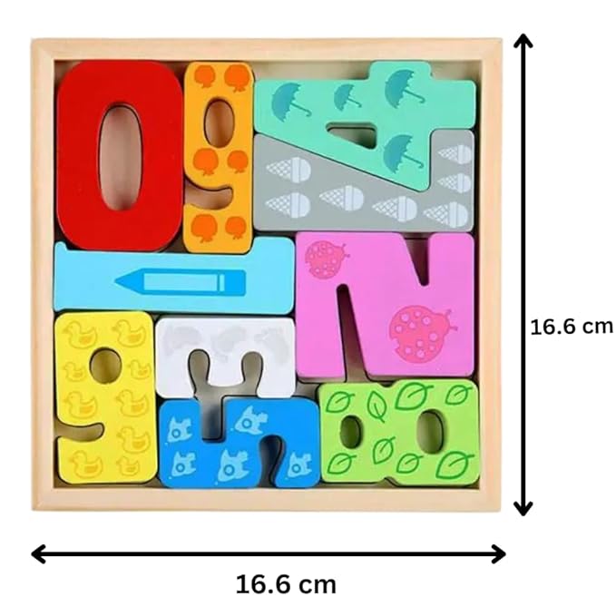Tray 3D Shape Puzzle - Multi Shapes & Colors