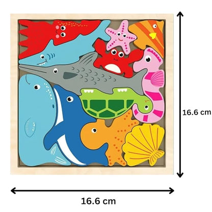 Tray 3D Shape Puzzle - Multi Shapes & Colors